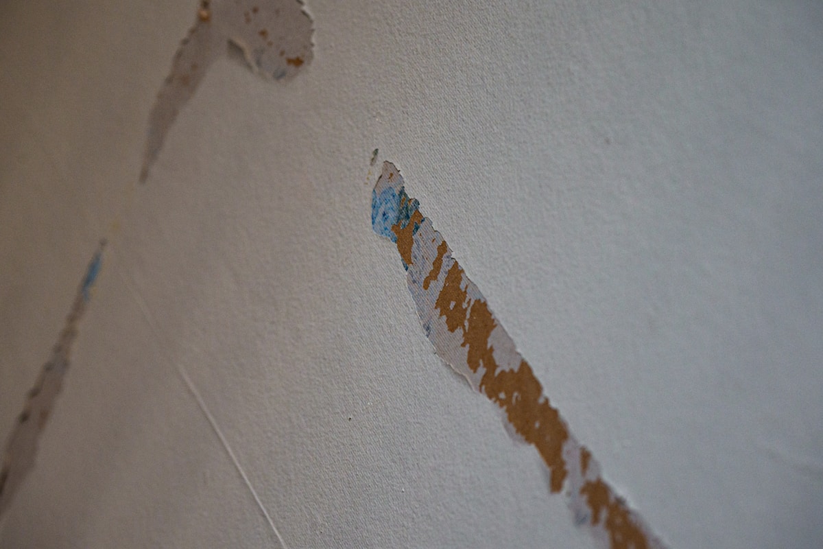 Mold Remediation service in Bowie, MD